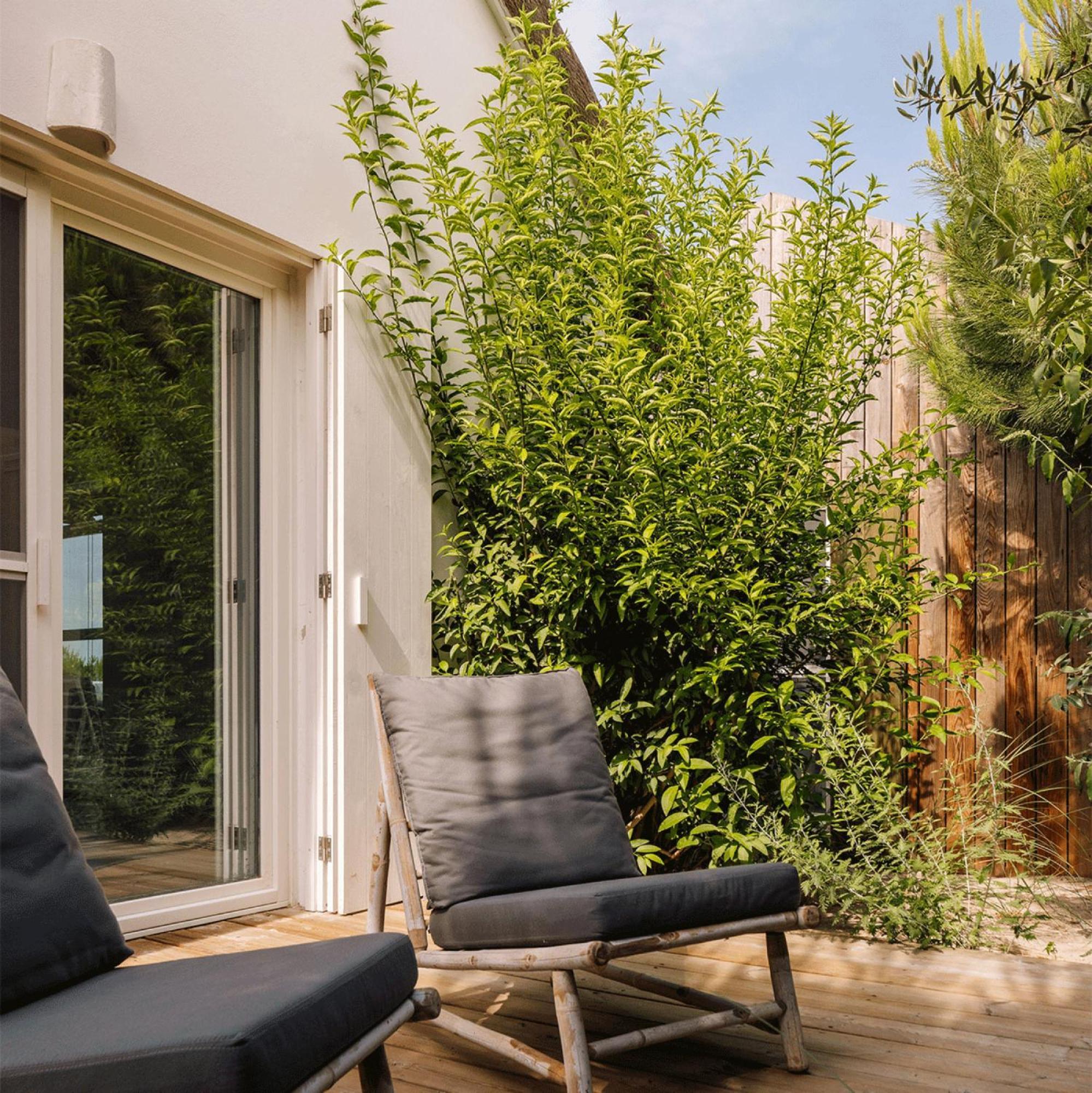 Casas De Arroz Villa Comporta Eksteriør bilde